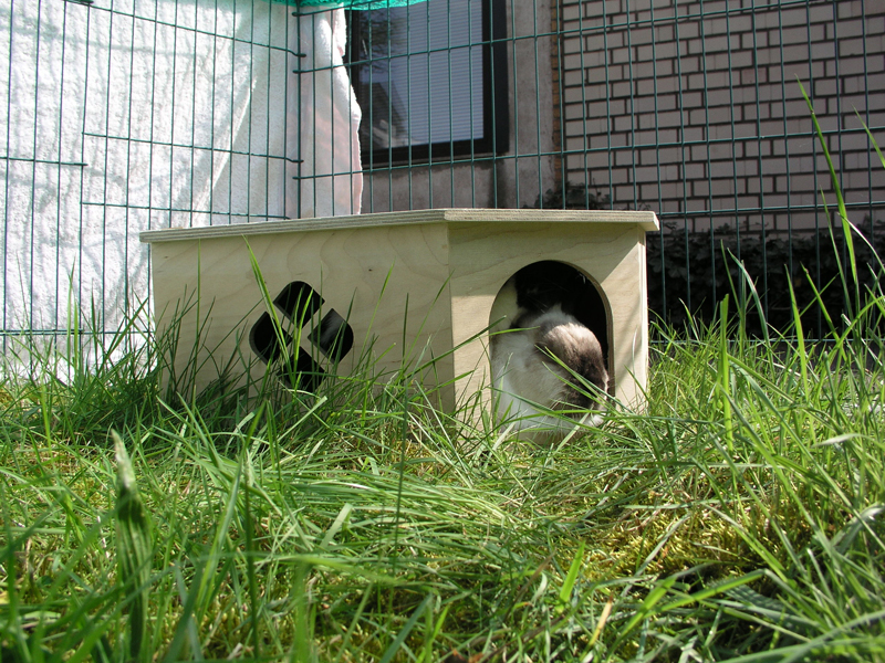 Fienchen im Garten (10.04.2009) Fienchen im Garten (10.04.2009)